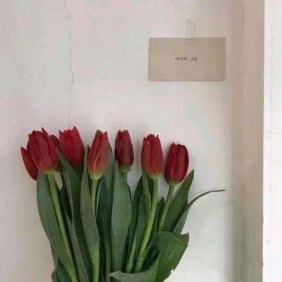 我篮球玩得贼6游戏下载
